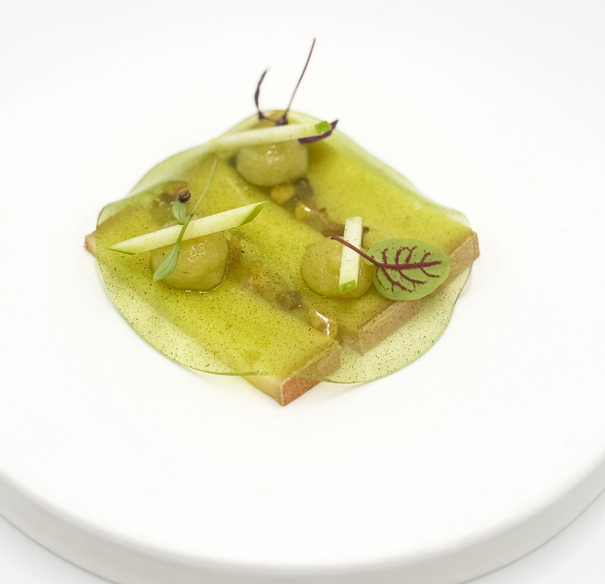 Collection automne-hiver 2025